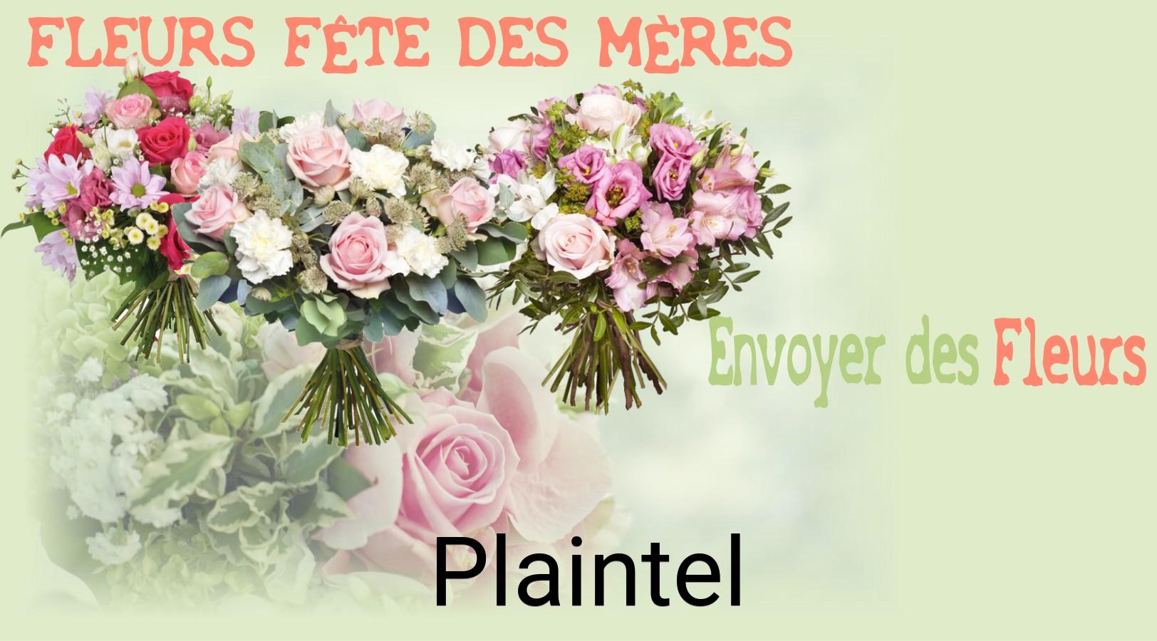 Bouquet de Fête des Mères livré à Plaintel
